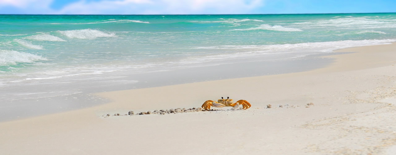 Spiaggia di Pescoluse